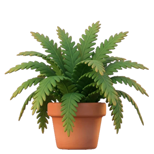 Fougère de Boston aux frondes arquées et légères, compagne idéale de la calathea : mêmes besoins d'humidité, même innocuité pour les animaux