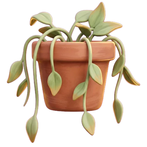 Plante retombante aux tiges affaissées et aux feuilles jaunissantes dans son pot, le signe classique d'un arrosage trop généreux